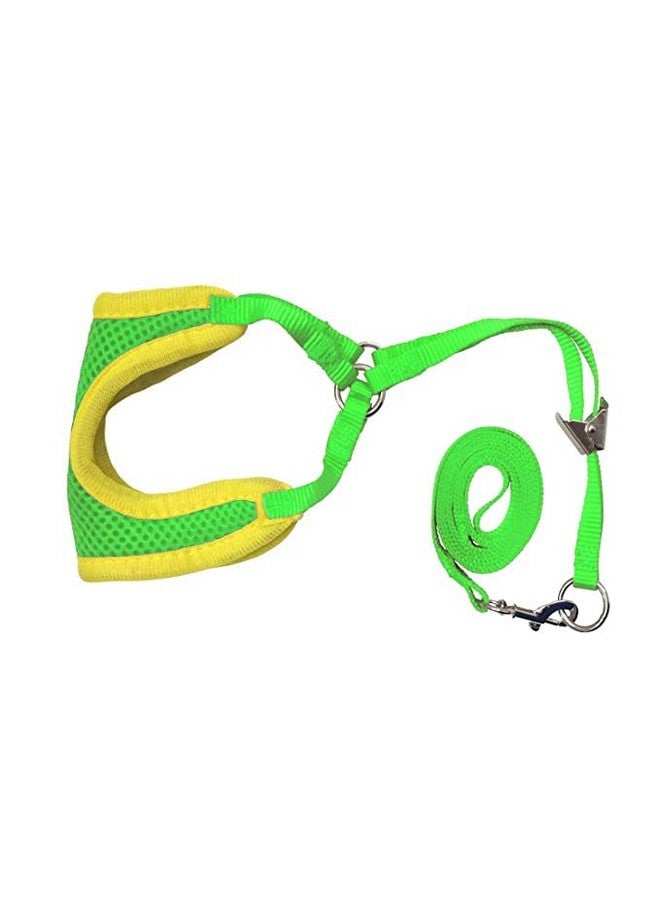 Adjustable Soft Mesh Comfort Padded Vest Harness For Small Dogs, Cat, Rabbit, Puppies - Green - Image 1