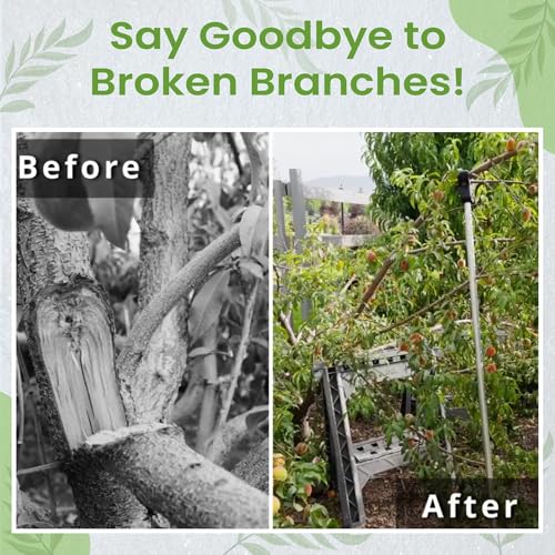Kalinar Tree Crutch (1-Pack) - Durable Support for Fruit Tree Branches - Prevents Breakage from Heavy Fruit or Snow - Fits 2x2 Lumber, T-Bar, Stakes & More - Pole Not Included - Image 2