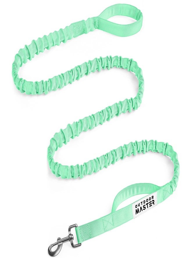 OutdoorMaster Bungee Dog Leash, Heavy Duty Dog Leash with Shock Absorption, 2 Padded Handles Training Leash, Improved Dog Safety and Comfort (Green, 6FT) - Image 1