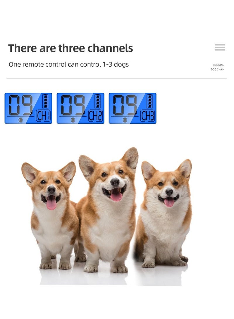 1000m Remote Control Electric Dog Training Collar Waterproof Rechargeable With Shock Vibration Sound Dog Products - Image 4