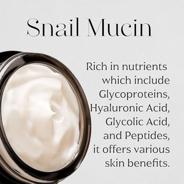 MIZON Black Snail All In One Cream Intensive Korean Skin Care Facial Moisturizing Snail Mucin Extract (2.54 fl oz) - Image 4