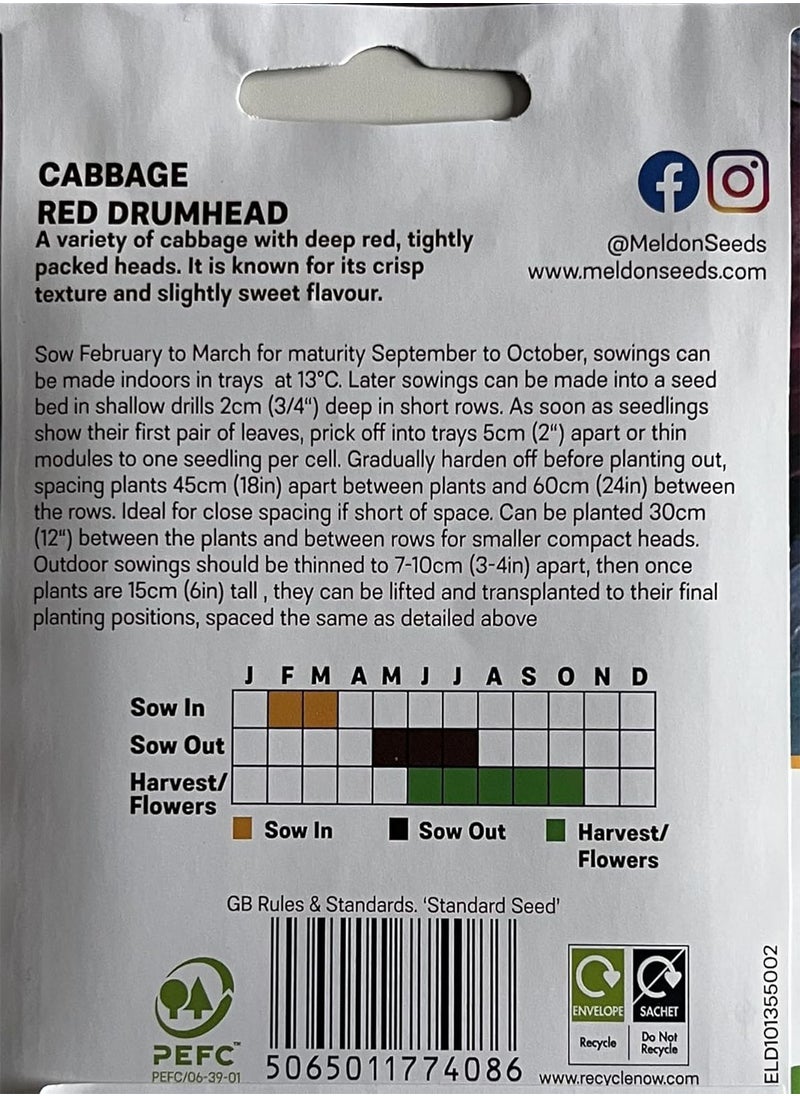 GGOOT - Red Drumhead Cabbage Seeds – 50 Red Cabbage Seeds – Suitable for Indoor & Outdoor Planting in The Allotment, Vegetable Plot or Garden – Packed in The UK by - Image 1