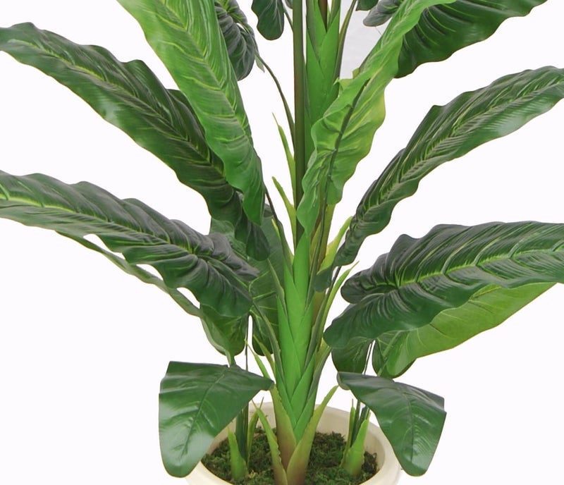 AMERIQUE AMERIQUE Unique And Gorgeous Large 5 Paradise Bird Flower Artificial Plant Real Touch Technology with Nursery Plastic Pot with UV Protection for Both Indoor and Outdoor display  - Image 3