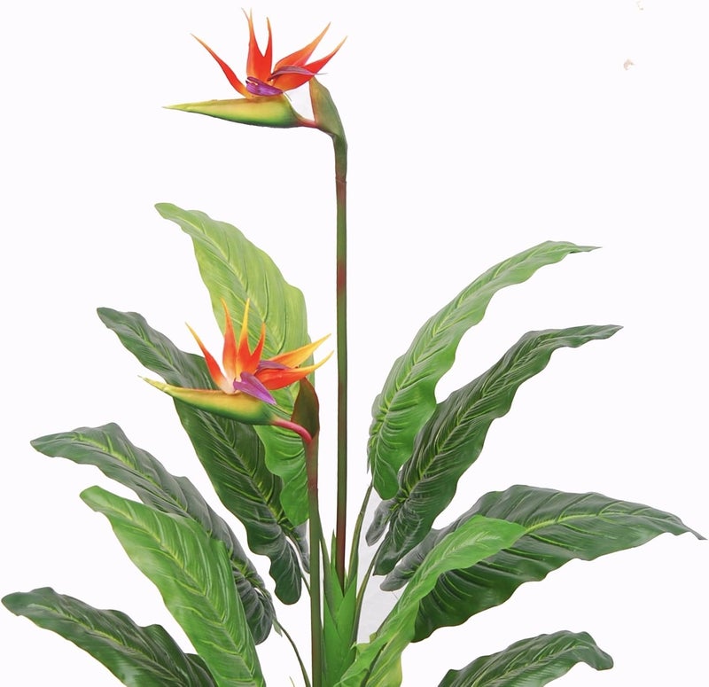AMERIQUE AMERIQUE Unique And Gorgeous Large 5 Paradise Bird Flower Artificial Plant Real Touch Technology with Nursery Plastic Pot with UV Protection for Both Indoor and Outdoor display  - Image 2