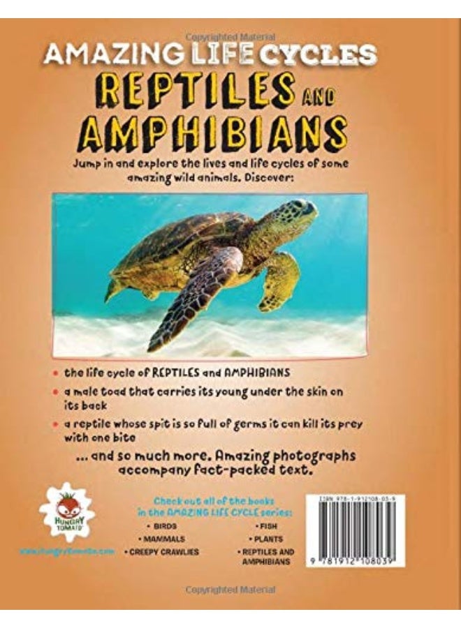 Reptiles and Amphibians - Amazing Life Cycles - Image 2