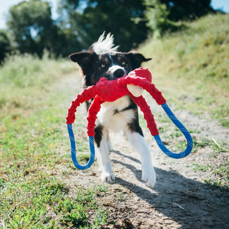 ZippyPaws RopeTugz - Durable Dog Pull Rope Toy, Interactive Tug of War for Large, Medium, & Small Dogs, Squeaky Pet Products to Keep Them Busy, Made with Heavy Duty Climbing Rope - Red Monkey - Image 3