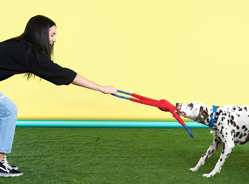 ZippyPaws RopeTugz - Durable Dog Pull Rope Toy, Interactive Tug of War for Large, Medium, & Small Dogs, Squeaky Pet Products to Keep Them Busy, Made with Heavy Duty Climbing Rope - Red Monkey - Image 5