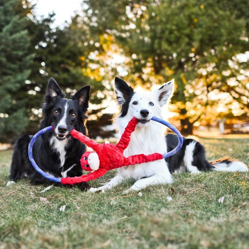 ZippyPaws RopeTugz - Durable Dog Pull Rope Toy, Interactive Tug of War for Large, Medium, & Small Dogs, Squeaky Pet Products to Keep Them Busy, Made with Heavy Duty Climbing Rope - Red Monkey - Image 4