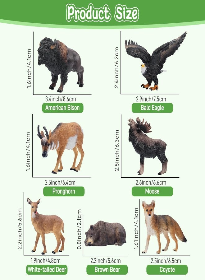 Toymany 14PCS Mini North American Forest Animals Figurines, Realistic Jungle Animal Toys Includes Elk Pronghorn Jaguar Gey Fox for Kids Adults Toddlers - Image 3