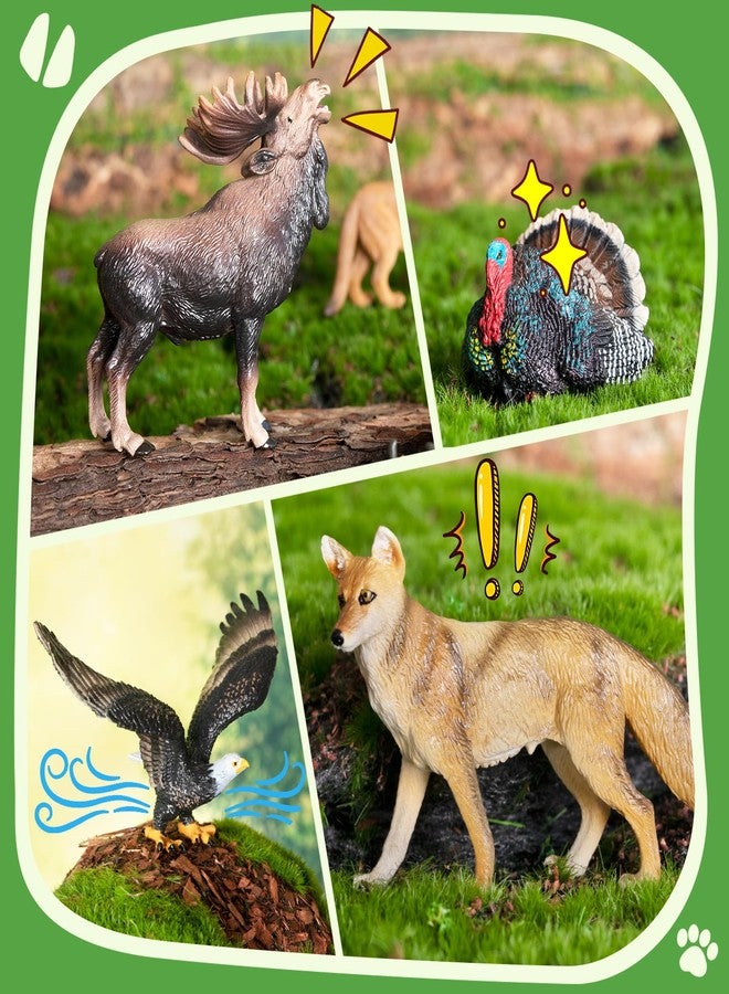 Toymany 14PCS Mini North American Forest Animals Figurines, Realistic Jungle Animal Toys Includes Elk Pronghorn Jaguar Gey Fox for Kids Adults Toddlers - Image 5