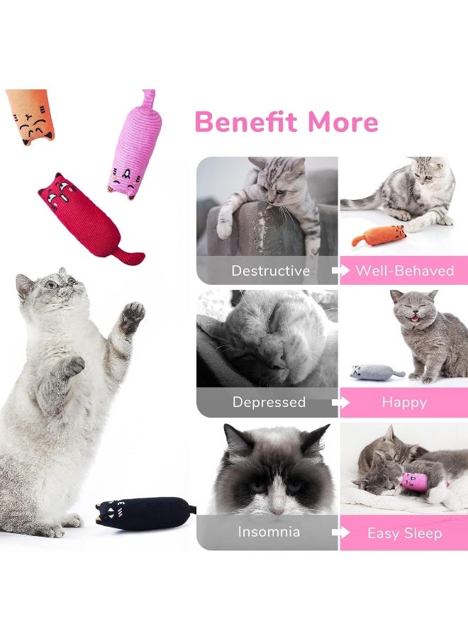 Coodipet Coodipet 5Pcs Bite Resistant Catnip Toy for Cats, Catnip Filled Cartoon Mice Cat Teething Chew Toy  - Image 3