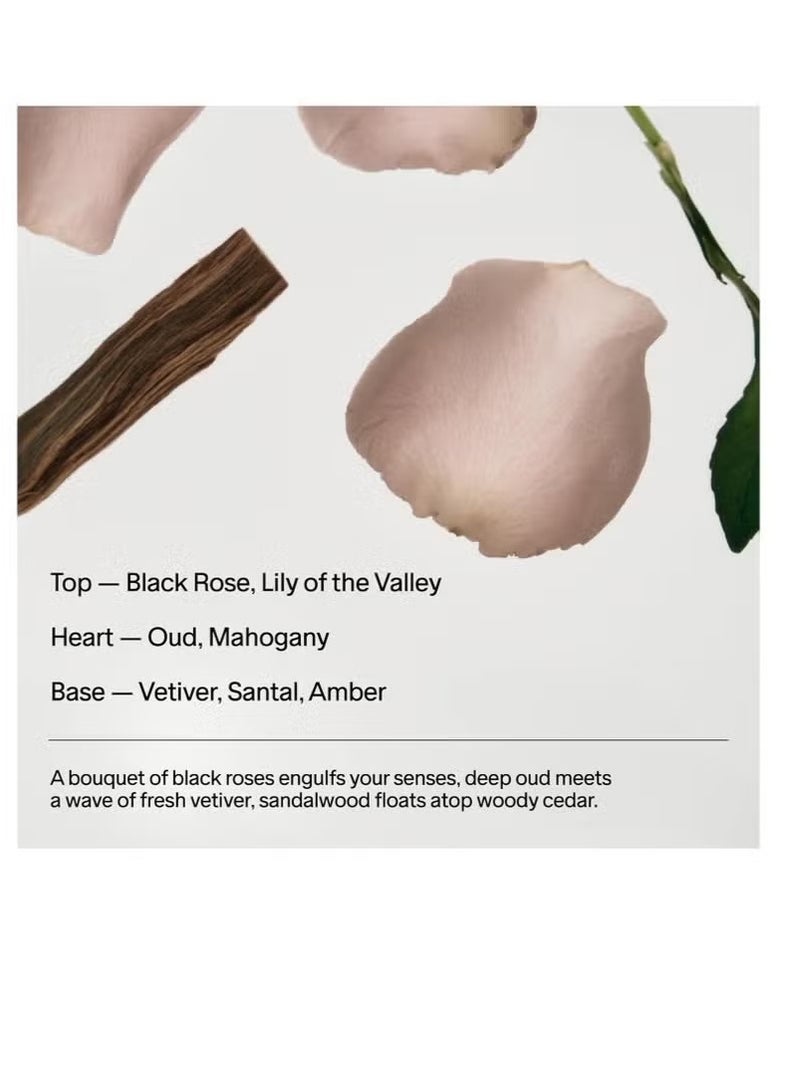 Salt & Stone Extra Strength Natural Deodorant for Women & Men | Aluminum Free with Seaweed Extracts, Shea Butter & Probiotics | Free From Parabens, Sulfates & Phthalates (2.6 oz) - Image 4