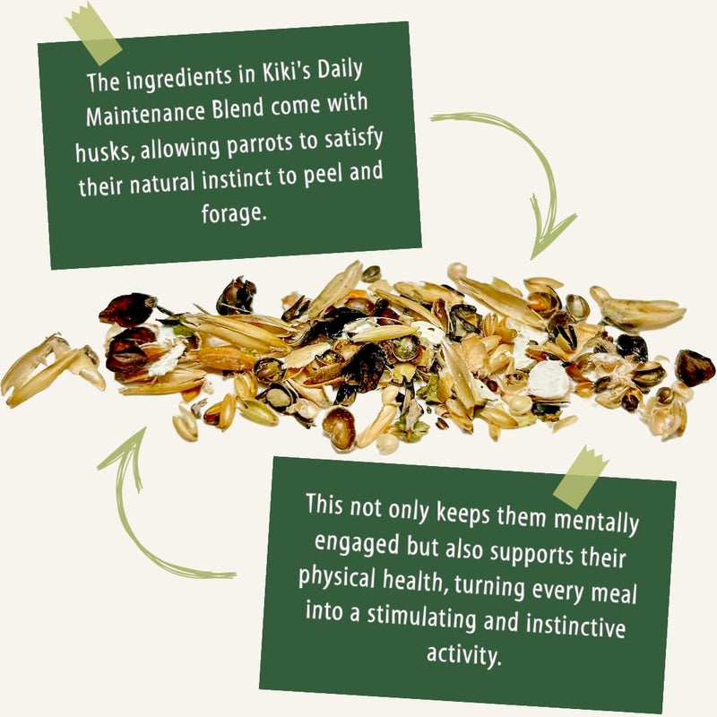 KikiBirds Premium Parrot Food| Protein-Rich Low-Fat Formula | Cockatiel, Conure, Lovebird, Quaker, Parrotlet | No Corn, Soy, Peanuts | Gourmet Whole Grains & Seeds | Daily Maintenance Blend (1 lb) - Image 5