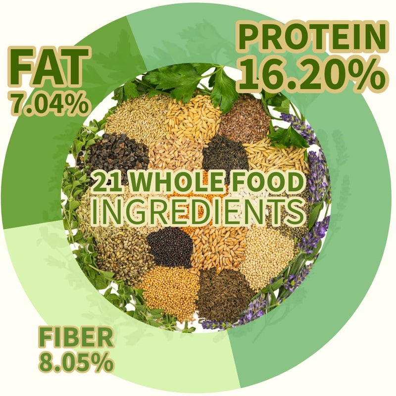 KikiBirds Premium Parrot Food| Protein-Rich Low-Fat Formula | Cockatiel, Conure, Lovebird, Quaker, Parrotlet | No Corn, Soy, Peanuts | Gourmet Whole Grains & Seeds | Daily Maintenance Blend (1 lb) - Image 4