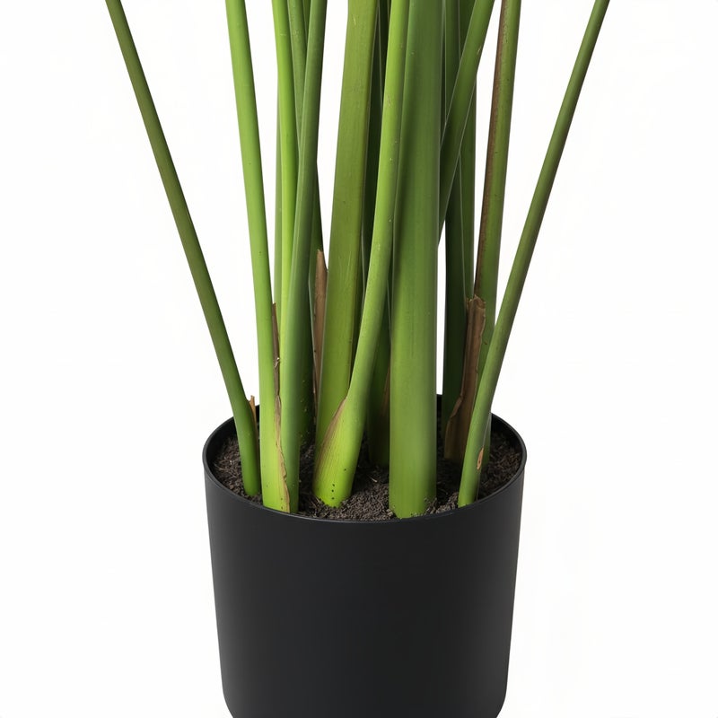 شاربدو شجرة كالاثيا صناعية بشعيرات اصطناعية ارتفاع 180 سم مع أوراق واقعية، شجرة مزيفة موضوعة في وعاء تحاكي الطبيعة لتزيين المنزل أو المكتب أو غرفة المعيشة أو الشرفة، شجرة كبيرة اصطناعية للديكور وأعمال DIY - Image 5