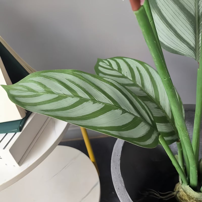 شاربدو شجرة كالاثيا صناعية بشعيرات اصطناعية ارتفاع 180 سم مع أوراق واقعية، شجرة مزيفة موضوعة في وعاء تحاكي الطبيعة لتزيين المنزل أو المكتب أو غرفة المعيشة أو الشرفة، شجرة كبيرة اصطناعية للديكور وأعمال DIY - Image 4