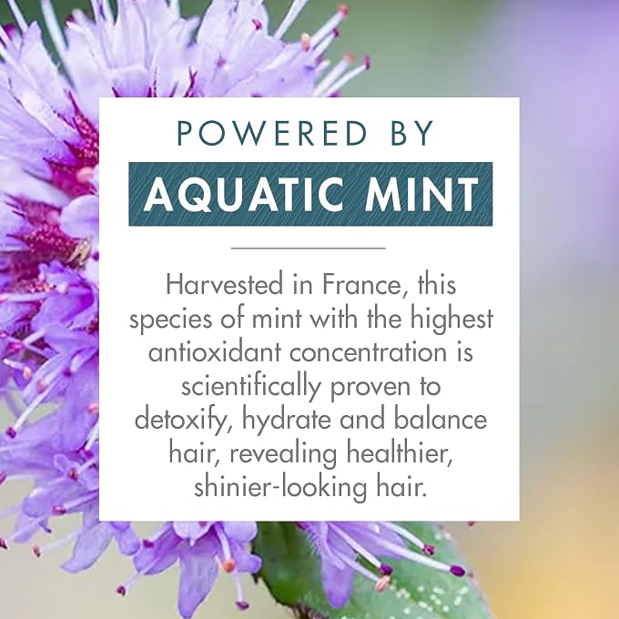 Klorane Aquatic Mint Detox Dry Shampoo 150Ml - Image 3