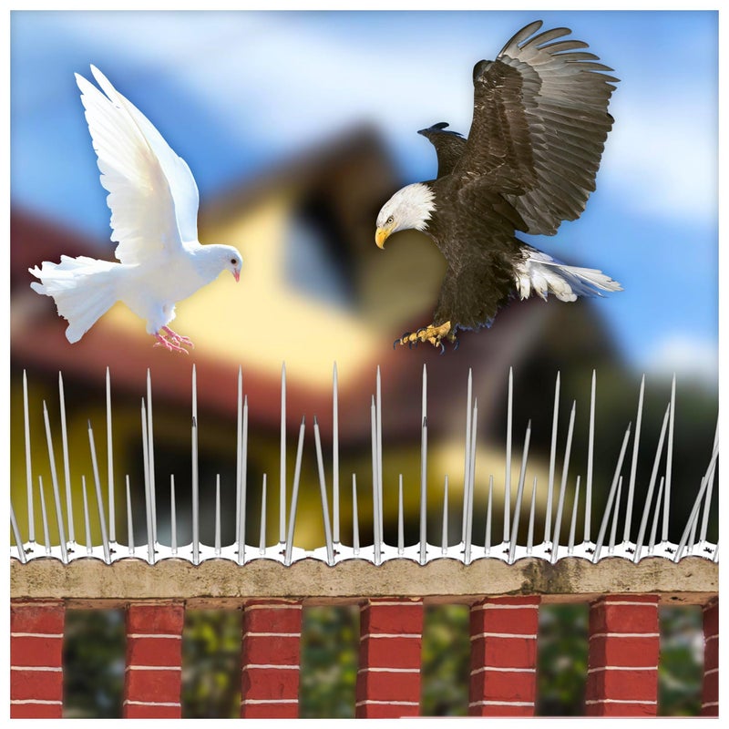 Eightiz (Pack of 20) New Sharp Bird and Pigeon Spikes, Pigeon Control Spikes Anti Bird Plastic Spikes for AC Balcony Railing Window Home Protection from Pigeon Dog Monkey Crow Kabootar Transparent - Image 5