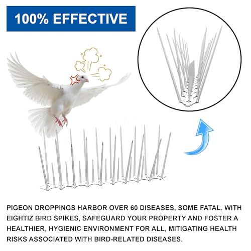 Eightiz (Pack of 20) New Sharp Bird and Pigeon Spikes, Pigeon Control Spikes Anti Bird Plastic Spikes for AC Balcony Railing Window Home Protection from Pigeon Dog Monkey Crow Kabootar Transparent - Image 2