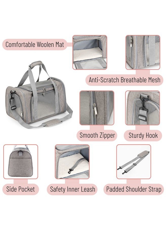 Mr. Pen Pet Carrier for Cats and Dogs, Soft-Sided Travel Bag for Small Animals - Image 3