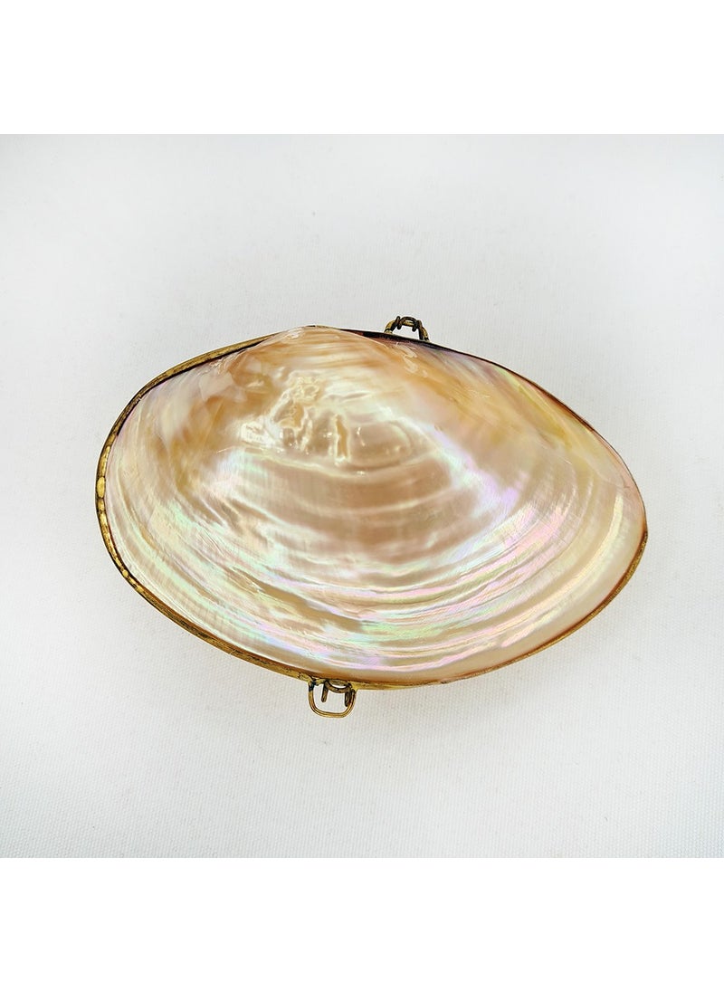 evinizdeki okyanus esintisi turkuaz hediyelik Rivershell Shell Wallet  - Image 1