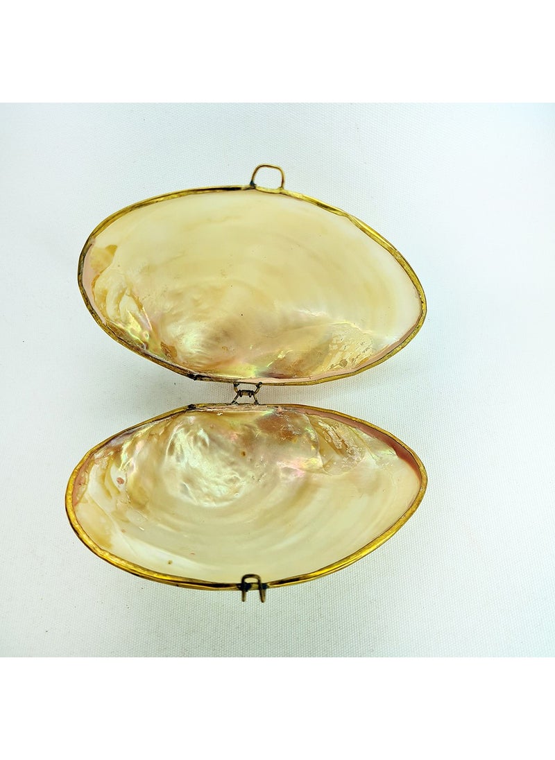 evinizdeki okyanus esintisi turkuaz hediyelik Rivershell Shell Wallet  - Image 2