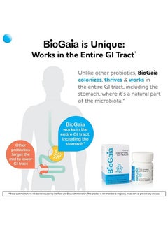 BioGaia Gastrus Chewable Tablets, Adult Probiotic Supplement for Stomach Discomfort, Constipation, Gas, Bloating, Regularity, Non-GMO, 30 Tablets, 2 Pack  - Image 2