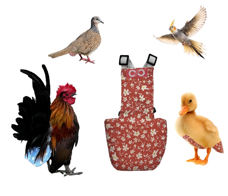 Uni Infinity Chicken Duck Bird Diapers Diaperalls for Hens, Roosters, Ducks, Ducklings, Bird diaper - Reusable, Adjustable by Uni Infinity (Pink Floral, Chicken Small, 1, Count) - Image 1