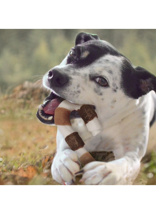 Cadet Cadet Triple Flavored Rawhide Dog Shish Kabob Candy Cane Dog Treat Chicken, Liver & Sweet Potato 8"  - Image 4