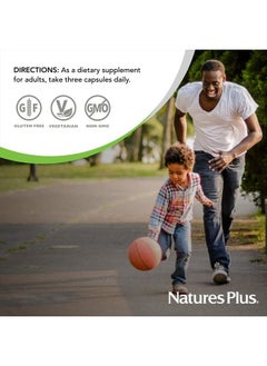Nature's Plus NaturesPlus BrainCeutix Boost - 90 Capsules - Promotes Brain Energy, Memory & Concentration - Non-GMO & Gluten Free - 30 Servings  - Image 5