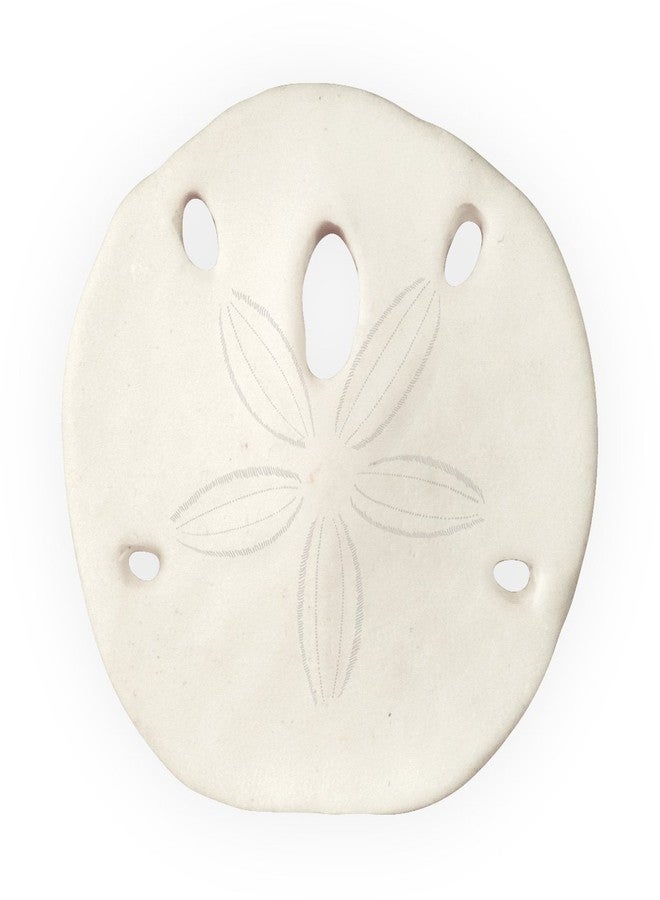 Angelstar Hope Sentiment Sand Dollar, One Inch, 10163 - Image 2