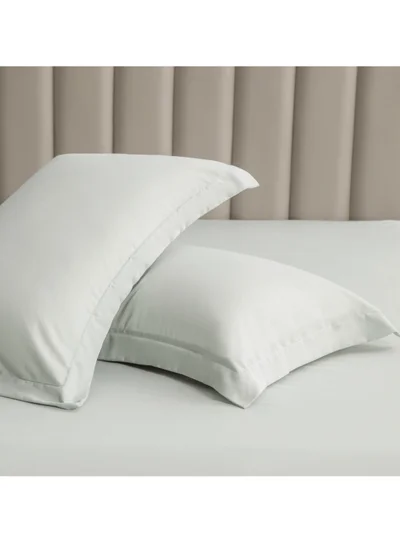 Donetella Microfiber Pillowcases 2-Pcs Soft Pillow Cover (50 x 75 CM) With Envelope Closure (Without Pillow Insert),Mercury