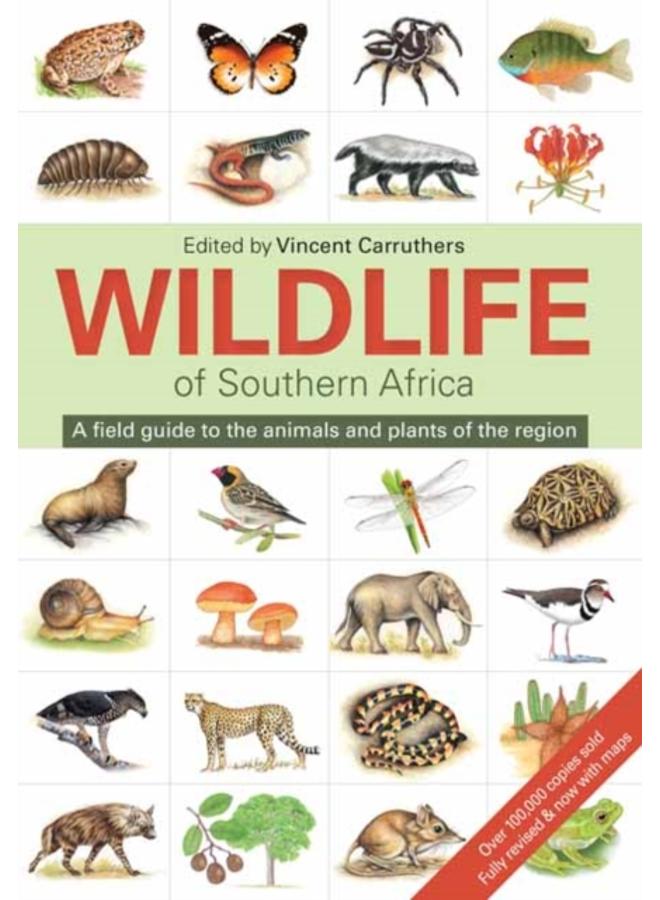 The Wildlife of Southern Africa 