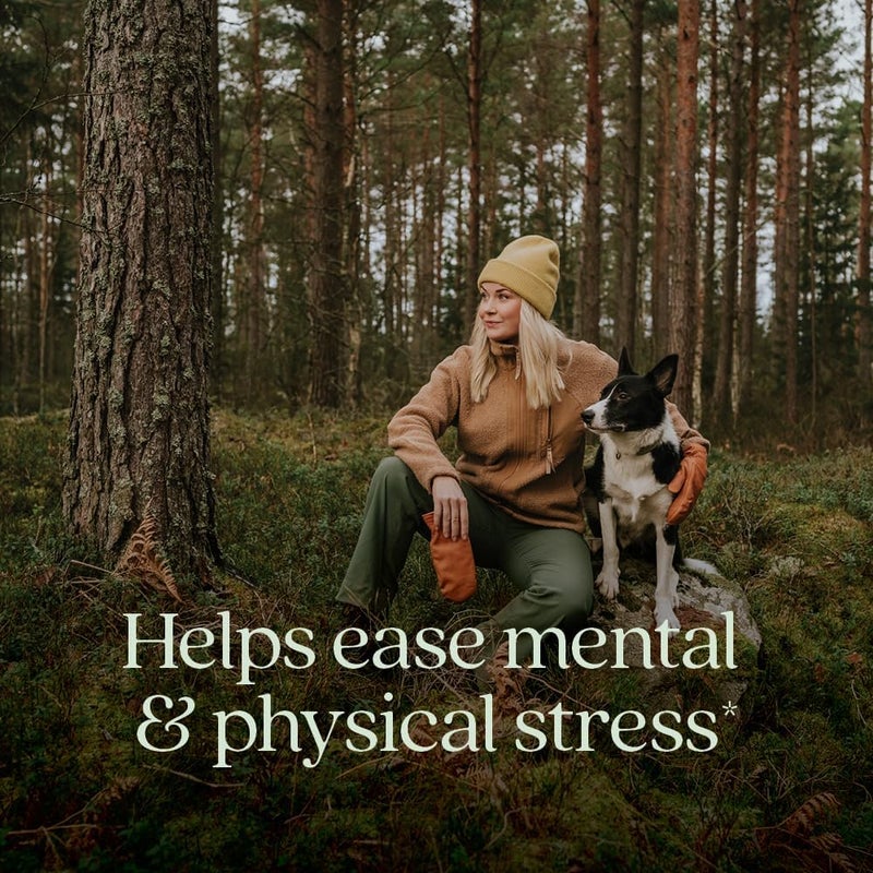 New Chapter Organic Ashwagandha Force Supplement - 60 Vegan Capsules for Stress Relief, Mood Support, and Energy - Image 2