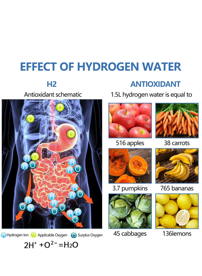 SOLARAE Portable Hydrogen Water Generator Bottle with SPE and PEM Technology, Alkaline Ionizer Generator USB Rechargeable Portable Hydrogen Rich Water Glass Health Bottle for Home and Fitness Daily Drinking - Image 5