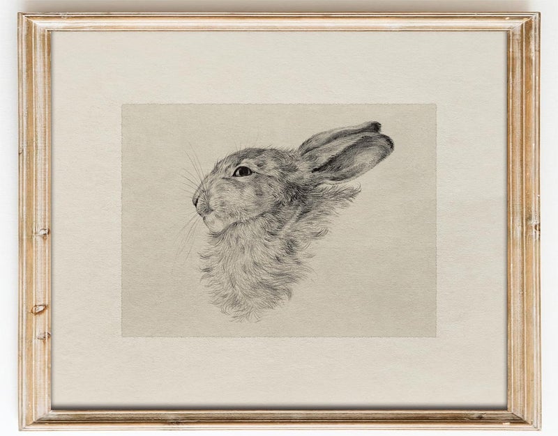 Kizbok Neutral Wall Art Decor, Vintage Rabbit Canvas Painting, Farmhouse Decor Bunny Sketch Drawing for Nursery Wall Decor, Antique Rabbit Gallery Wall Art for Bedroom Bathroom Home(8" x 10"-UNFRAMED) - Image 1