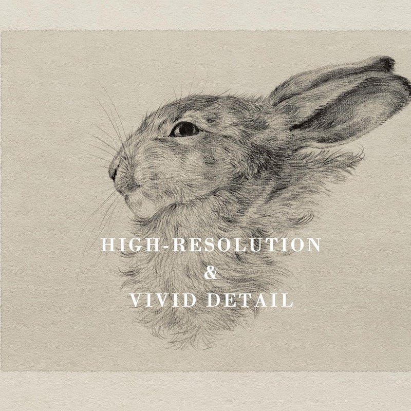 Kizbok Neutral Wall Art Decor, Vintage Rabbit Canvas Painting, Farmhouse Decor Bunny Sketch Drawing for Nursery Wall Decor, Antique Rabbit Gallery Wall Art for Bedroom Bathroom Home(8" x 10"-UNFRAMED) - Image 2