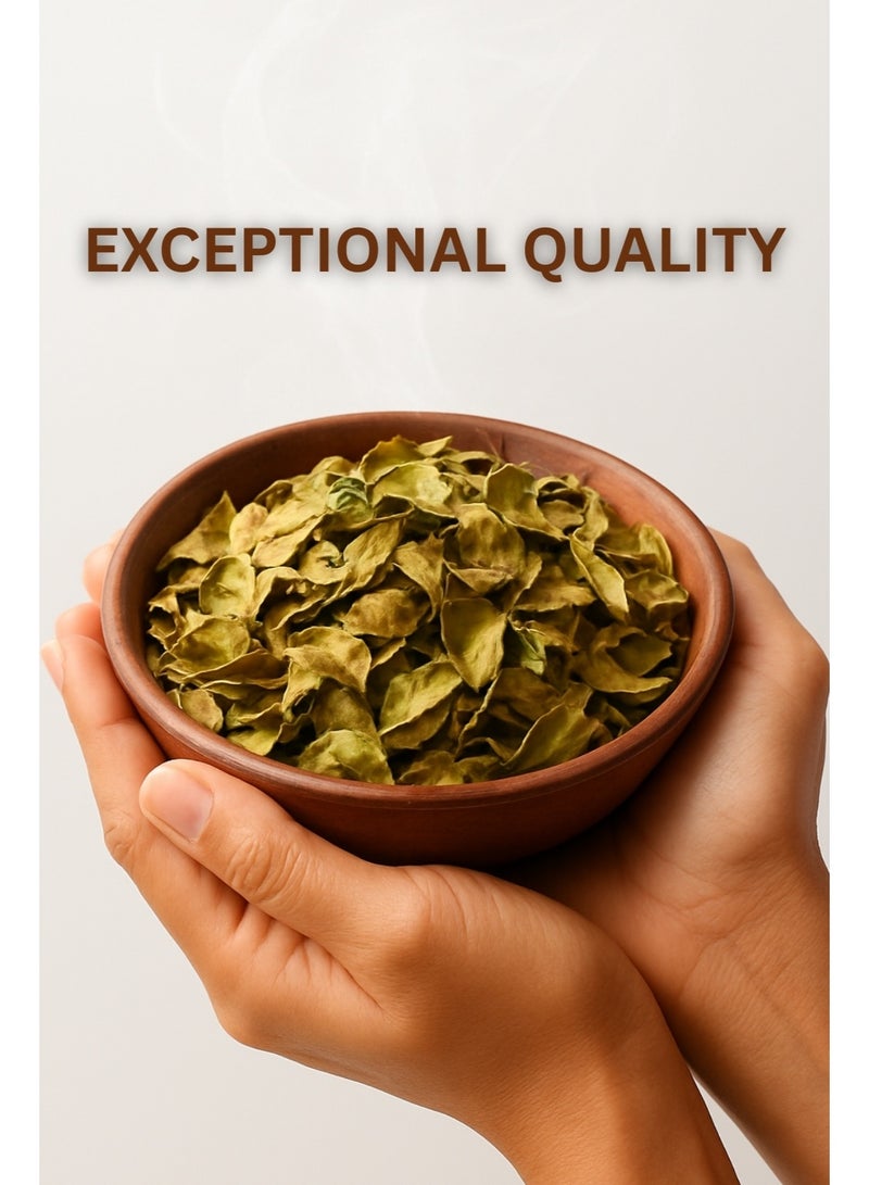 زهر أوراق الحناء - جودة ممتازة، مُفرزة يدويًا ومُعالَجة تحت أشعة الشمس، طبيعية 100% ومُزروعة بشكل مستدام - استخدامات عشبية للشعر والبشرة والبستنة - Image 5