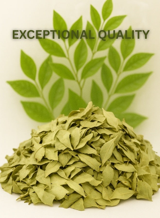 Zahr Henna Leaves – Premium Quality, Hand-Sorted & Sun-Cured, 100% Natural & Sustainably Grown – Herbal Hair, Skin & Gardening Uses - Image 3