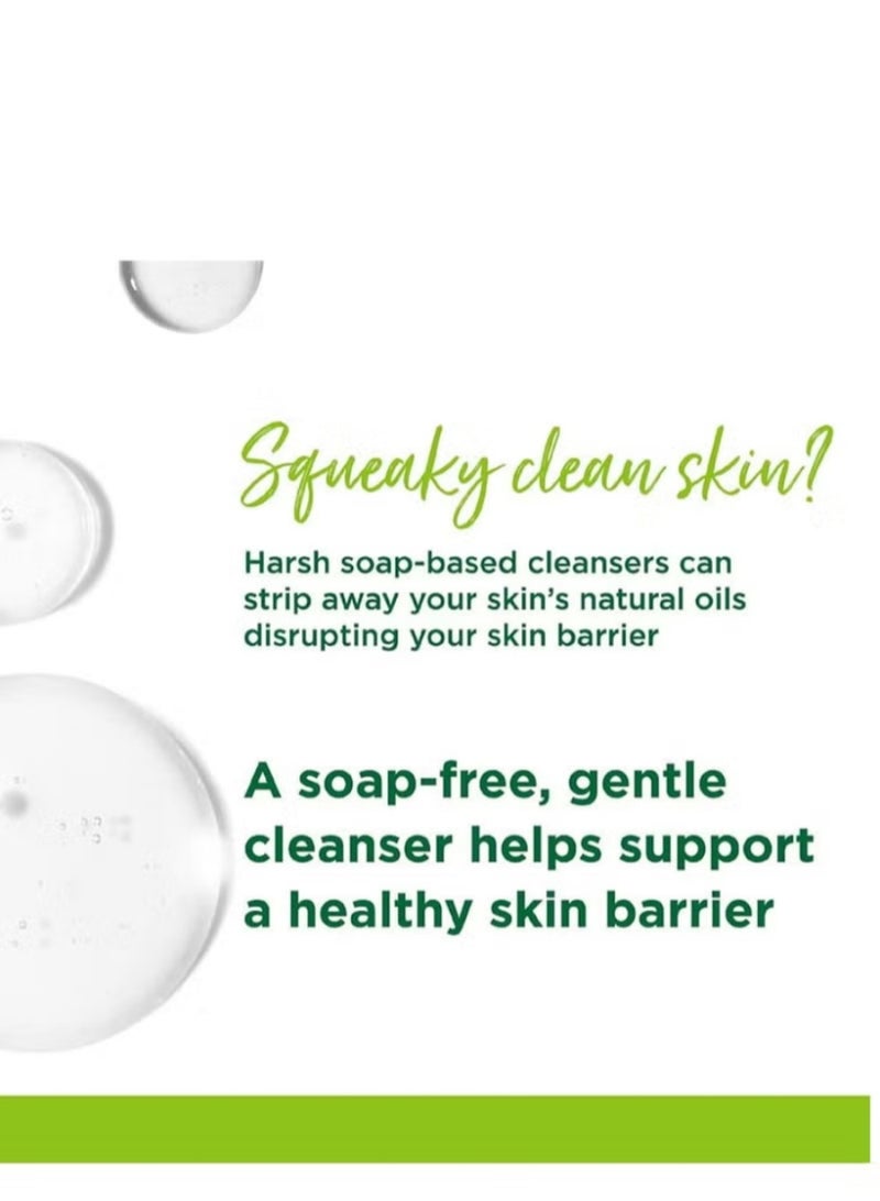 simple Gentle Refreshing Facial Wash | 100% Soap-Free, Skin-Friendly Formula with pH 5.5–6, Gently Cleanses While Protecting Skin Barrier, Enriched with Double Vitamin E, Pro-Vitamin B5 & Amino Acids, Leaves Skin Fresh Without Tightness - Image 5