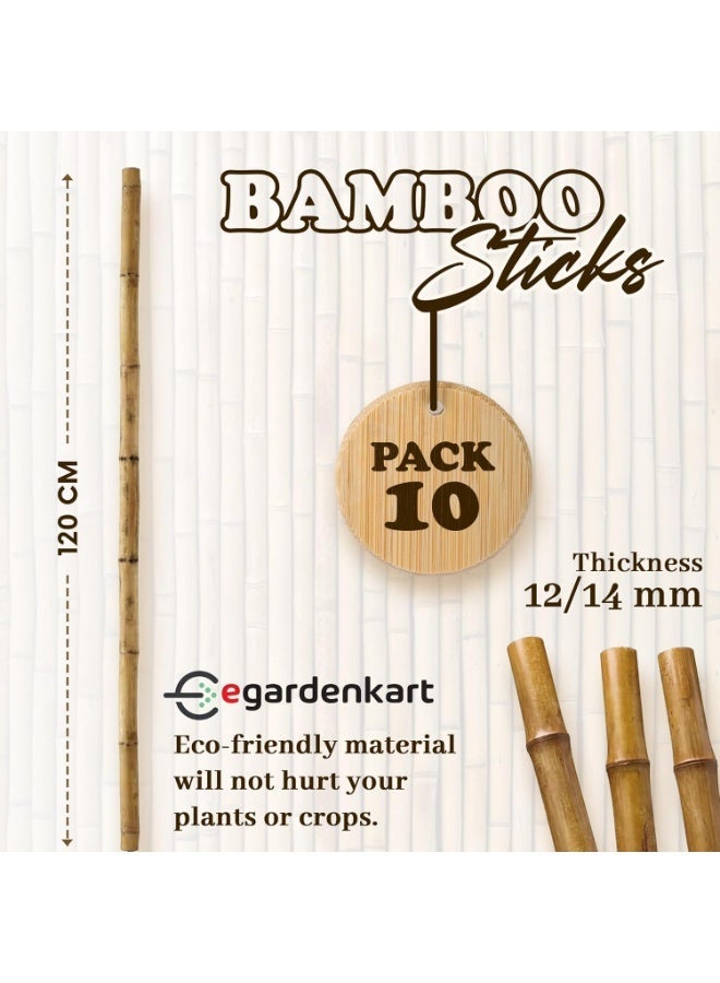 Egardenkart عصي البامبو من إي غاردن كارت للنباتات - 120 سم، 10 قطع | عصي حديقة لدعم قوي | عصي نبات طويلة لدعم النباتات (رفيعة، 10 قطع، 120 سم) - Image 2