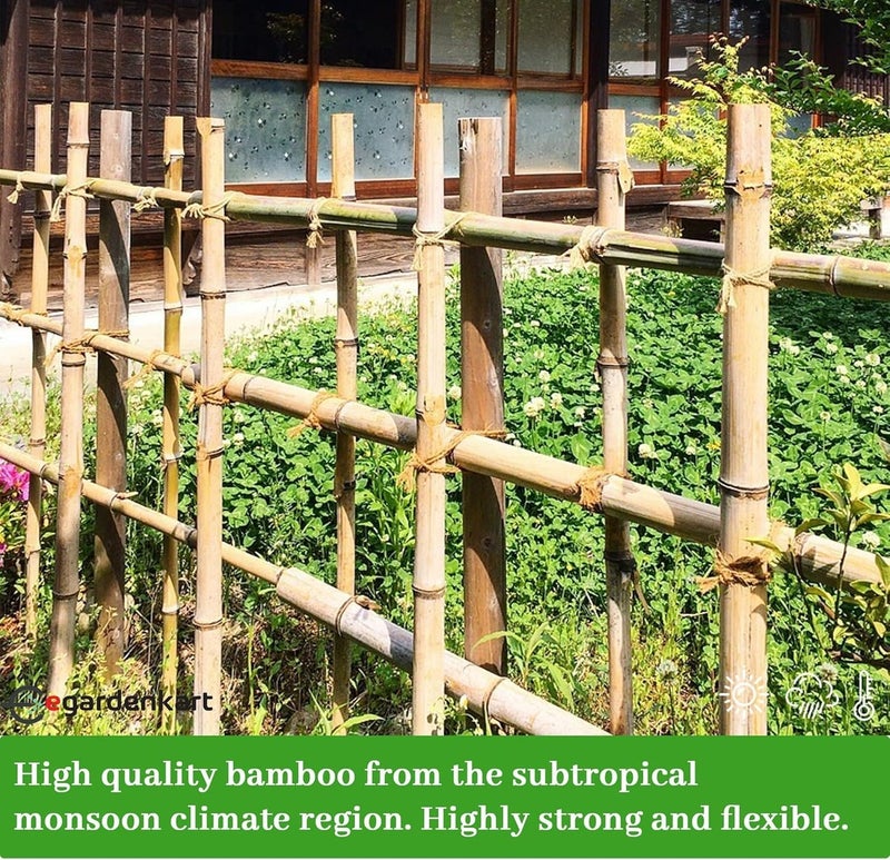 Egardenkart عصي البامبو من إي غاردن كارت للنباتات - 120 سم، 10 قطع | عصي حديقة لدعم قوي | عصي نبات طويلة لدعم النباتات (رفيعة، 10 قطع، 120 سم) - Image 5