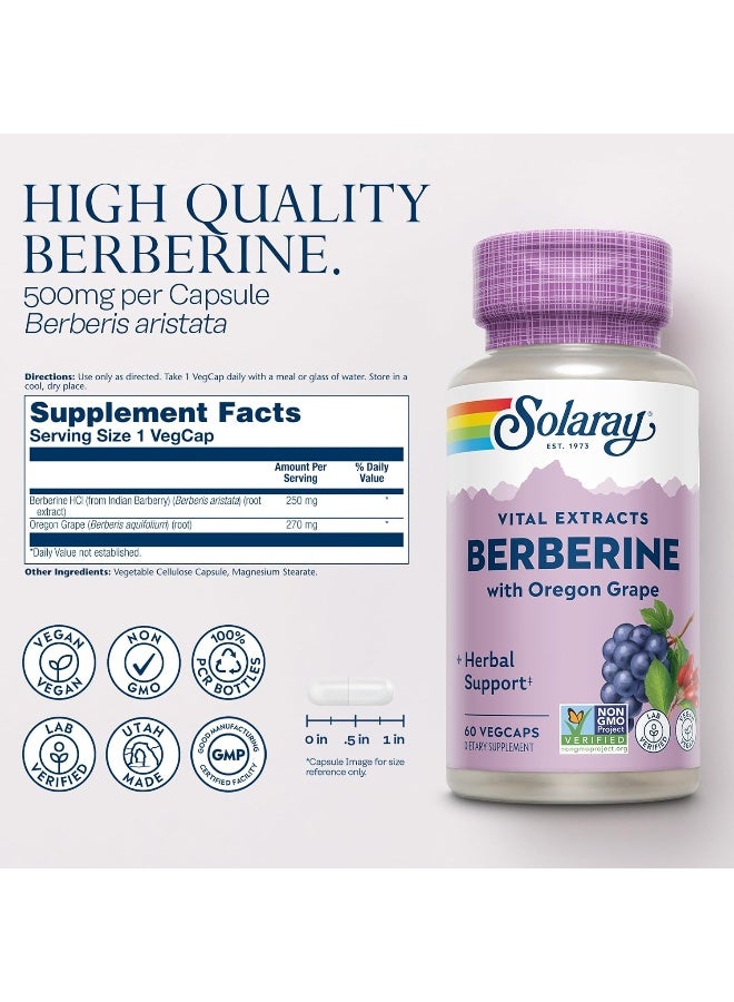 Solaray Berberine 500 Mg From Indian Barberry Root, Healthy Glucose Metabolism, Digestion & Immune Support (60 Ct)  - Image 2