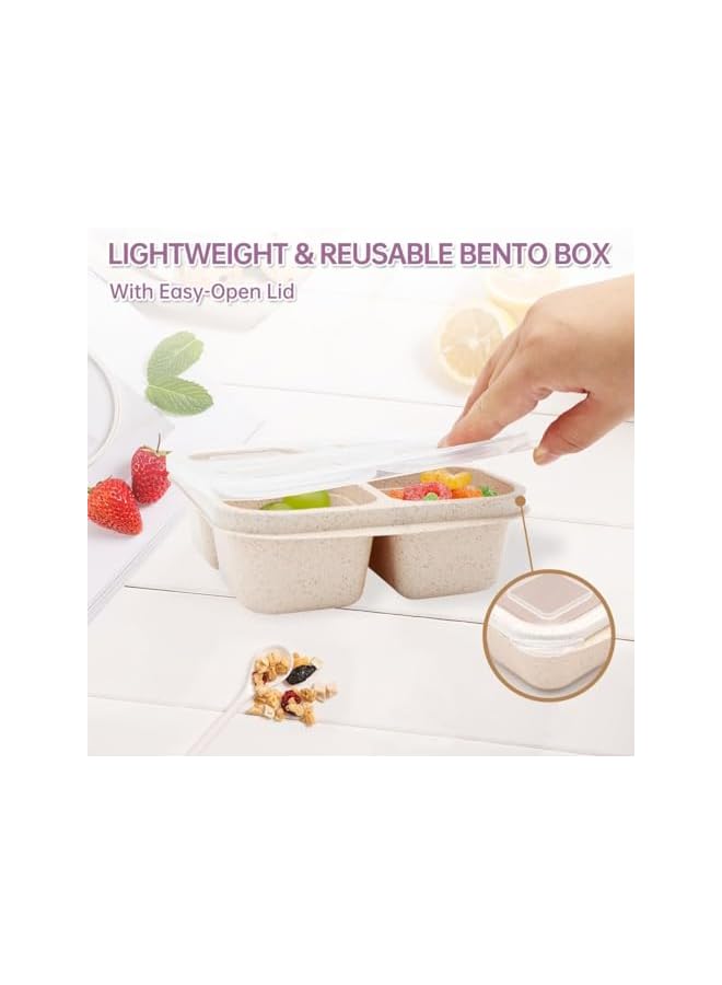 Green Tiger 4 Pack Bento Lunch Box，4 Compartment Snack Containers，Divided Bento Snack Box，Meal Prep Containers Kids/Toddle/Adults,Food Storage Containers for School, Work and Travel - Image 5