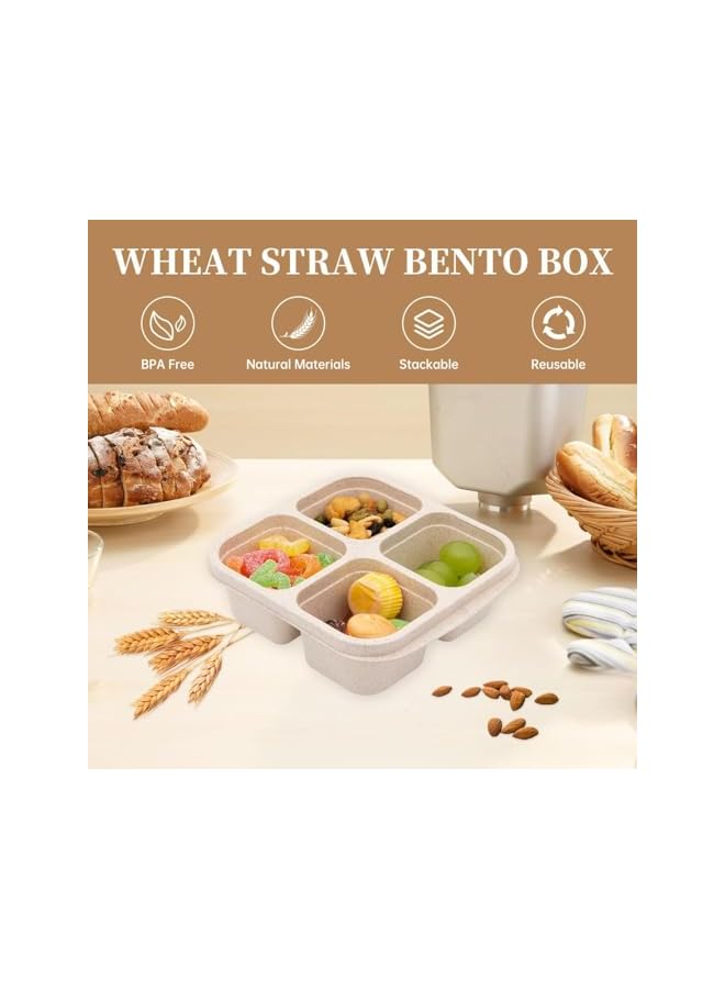Green Tiger 4 Pack Bento Lunch Box，4 Compartment Snack Containers，Divided Bento Snack Box，Meal Prep Containers Kids/Toddle/Adults,Food Storage Containers for School, Work and Travel - Image 3