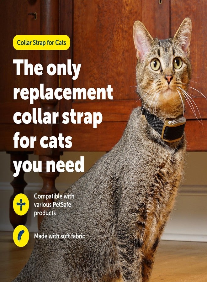 بيت سيف حزام طوق PetSafe للقطط - حزام طوق بديل لأطواق Stay & Play وPawz Away وYardMax Receiver - مريح وخفيف الوزن للقطط - Image 2