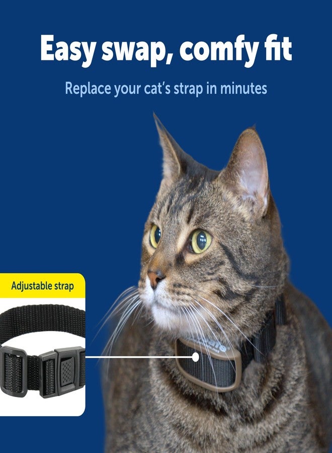 بيت سيف حزام طوق PetSafe للقطط - حزام طوق بديل لأطواق Stay & Play وPawz Away وYardMax Receiver - مريح وخفيف الوزن للقطط - Image 3