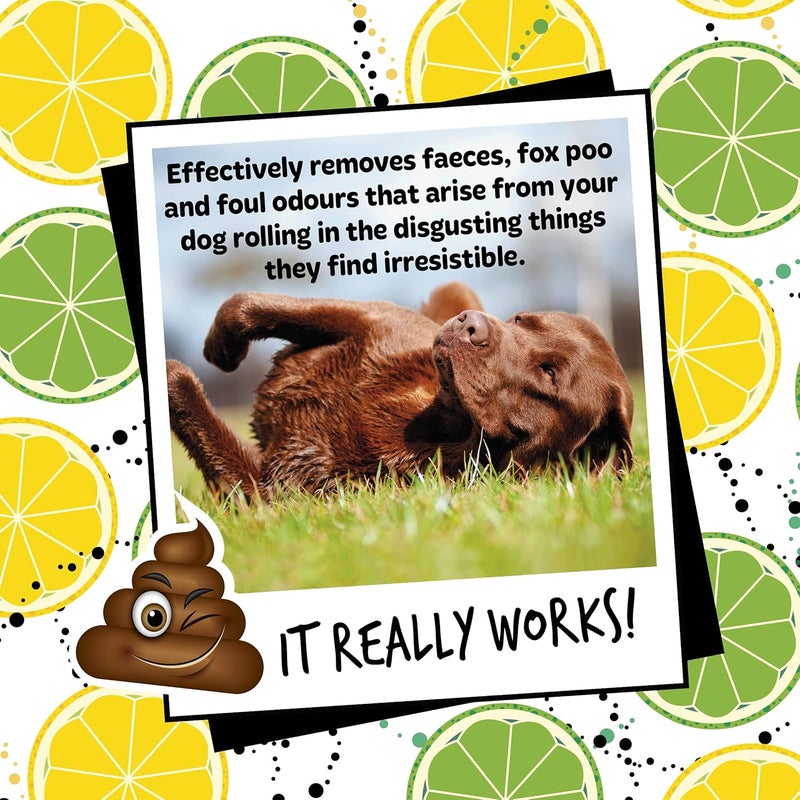 Bugalugs Stinky Dog Shampoo 500ml with Odour Neutraliser - Image 3