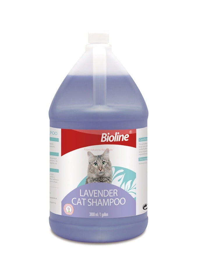 Bioline Lavender Cat Shampoo 3.8L