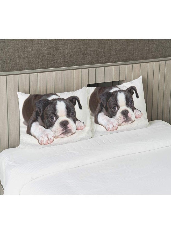 EKOBLA Throw Pillow Cover Boston Terrier Dog Dog Lovely Animal Art Cute Funny Pet Puppy Portrait Style Decor Lumbar Pillow Case Cushion for Sofa Couch Bed Standard Queen Size 20x30 Inch - Image 4